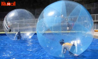 many colors on a zorb ball